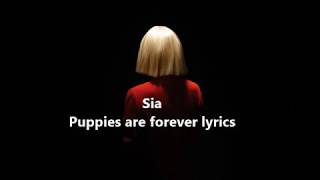 Sia Puppies are forever lyrics!