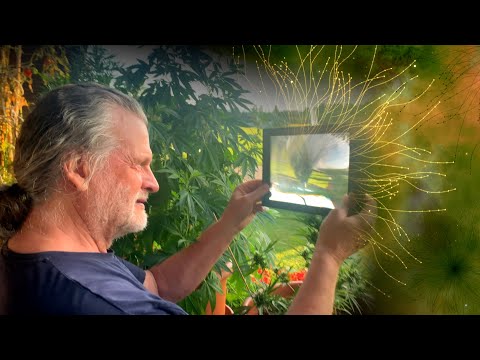 How can nature help us in this chaos? Gerhard Vester - Ambassador between the worlds