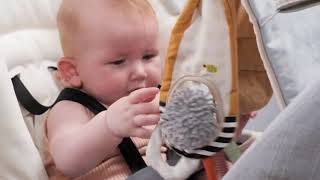 Hudební pultík do auta Bunny