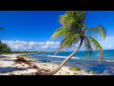 Florence + Machine  - Take Care (Pedro Cazanova Remix)