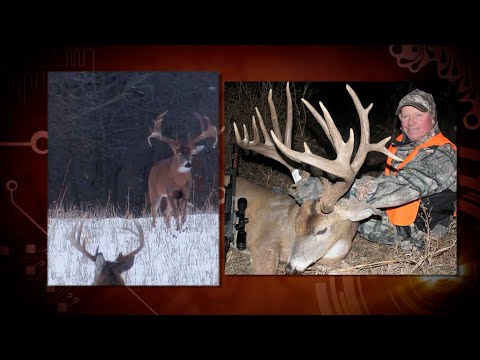 100% Wild/Fair Chase Vol11