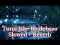 Tumi Jake Bhalobaso Song Lofi Version (Slowed + Reverb) || Bengali Lofi Song By Alex_Lofii