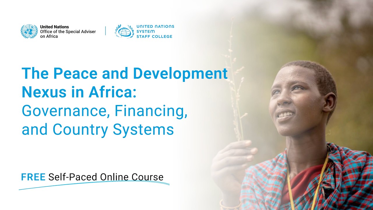 Oline Course | The Peace & Development Nexus in Africa: Governance, Financing and Country Systems