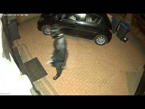 Reolink RLC 811A spooks potential thief