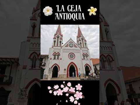🌸 La Ceja (Antioquia) Flores, Café y las Bicicletas🚲☕ #antioquia #viajes