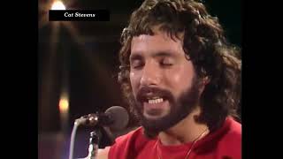 Cat Stevens - Banapple Gas