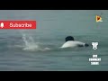 Goundamani Senthil Rare Comedy Scene Goundamani Teach Swimming Swimming Comedy Scene