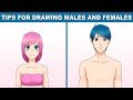 Tips For Drawing Male And Female Anatomy