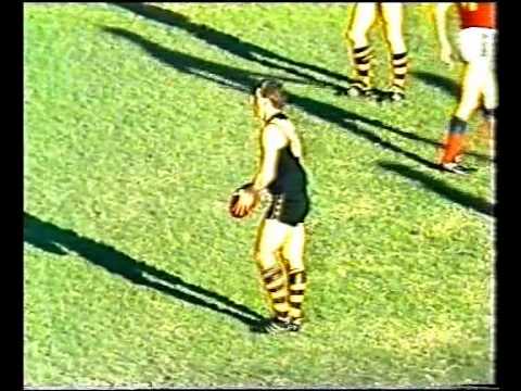 VFL R12 1982 - Richmond v Fitzroy