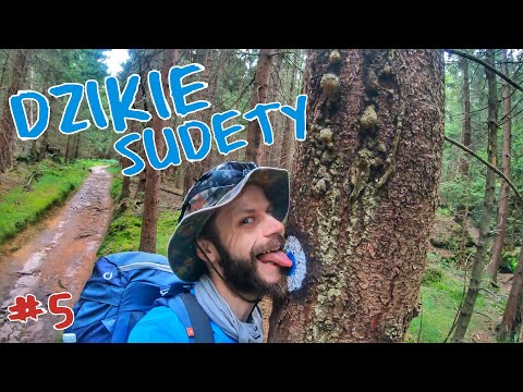 Niebieski Szlak Sudecki - 400 km DZIKICH Sudetów #5/5