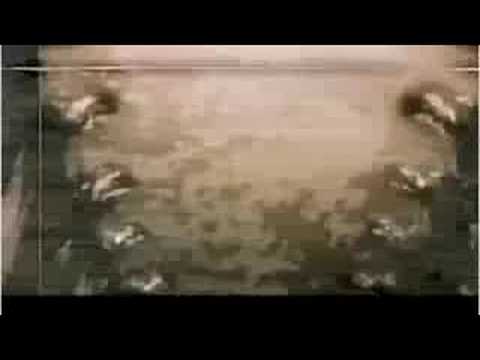 texhnolyzeOpeningCredits