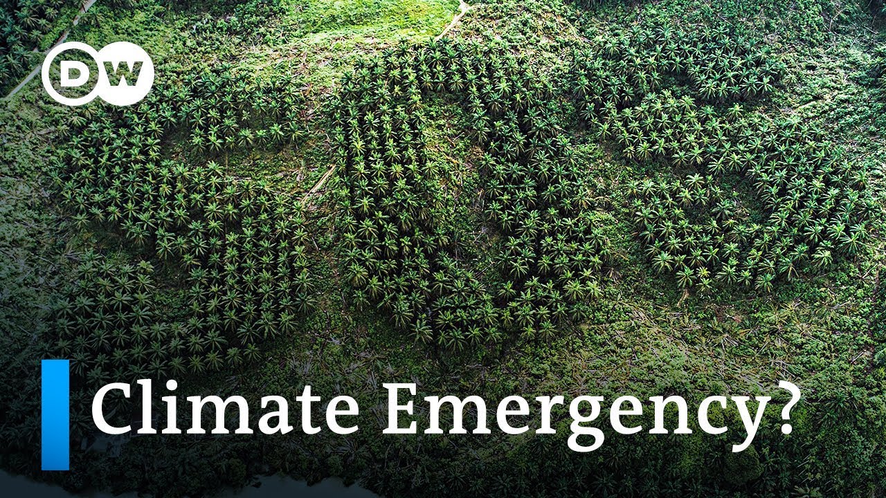 11,000 scientists warn of climate emergency and demand radical action | DW News