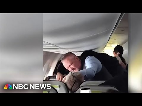 Viral video shows flight attendant punching man attacking female passenger