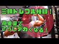 増量期の三頭トレ種目!腕周り45cm超えを目指す!少ない種目で高刺激のトレーニングを紹介するよ