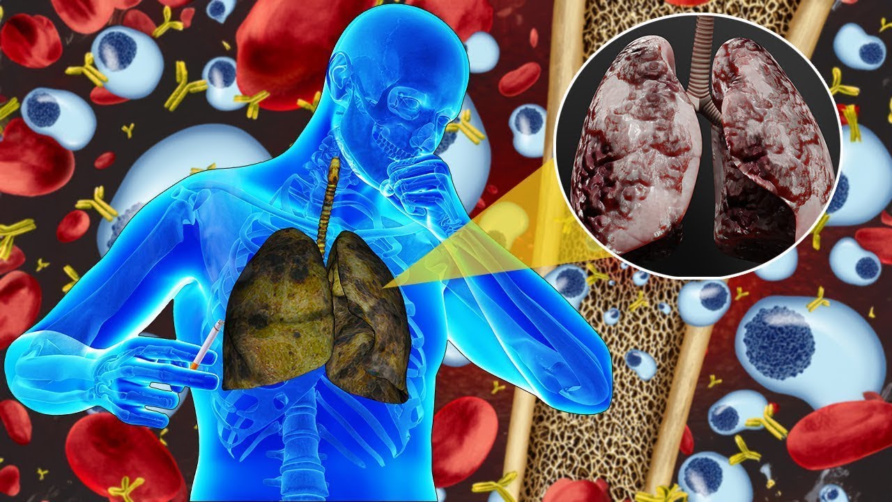 Alpha Waves Heal Entire Internal Organs (Warning: Very Powerful!) The Body Is Healed After 20 Min #4