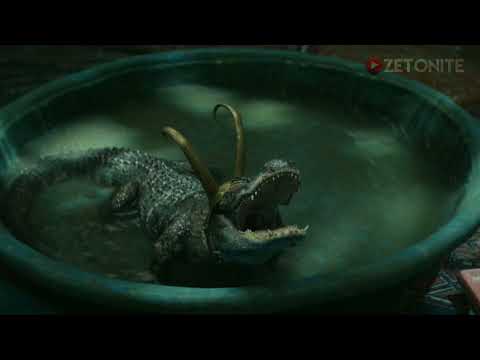 𝑨𝒍𝒍𝒊𝒈𝒂𝒕𝒐𝒓 𝑳𝒐𝒌𝒊 𝒅𝒓𝒊𝒏𝒌𝒔 𝒘𝒊𝒏𝒆