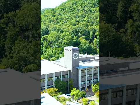 🌲新緑の衣笠キャンパス🏫 #Shorts #キャンパス風景 #立命館大学