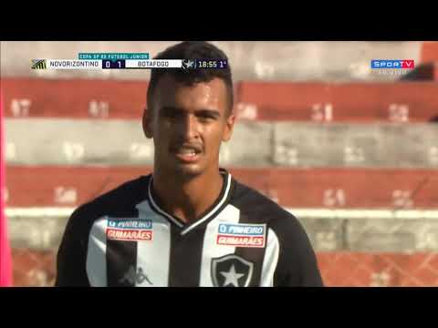 Gols - 🇧🇳 Novorizontino 1 x 1 Botafogo 🏁 - Copa São Paulo 2020 (SporTV)