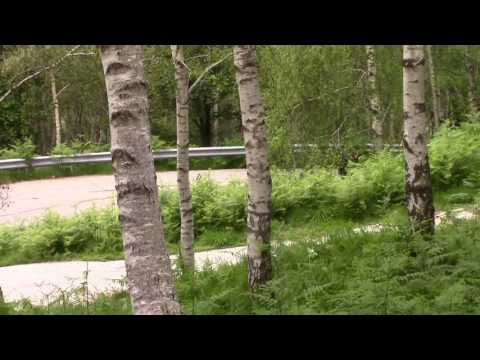 52 Rally valli ossolane 2016