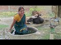 Bhains Ke Khane Wali Haldi Mein Snan Karke Blog Banaya Vlogsvideo Vairalvideo Dance
