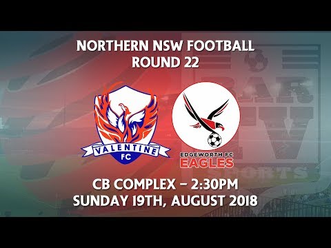 2018 NNSWF NPL Round 22 - Valentine Phoenix FC v Edgeworth Eagles FC