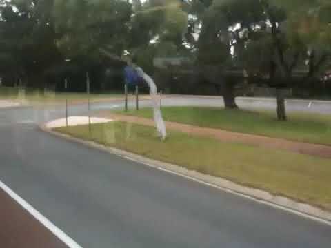 Transperth TP1409 Mercedes Benz O 500LE CNG (OC500LE)