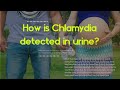 Are urine test for chlamydia accurate - How is Chlamydia detected in urine