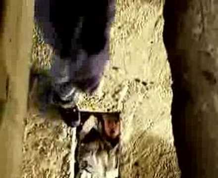 endogen - dinnoi f.ego scenic