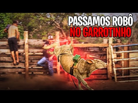 Passamos ROBÔ no GARROTE da Cia ARENA BRUTA - será que PULOU??
