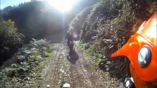 preview picture of video 'SOMERSET TRF FOREST DAY 2011 GOPRO 1080'