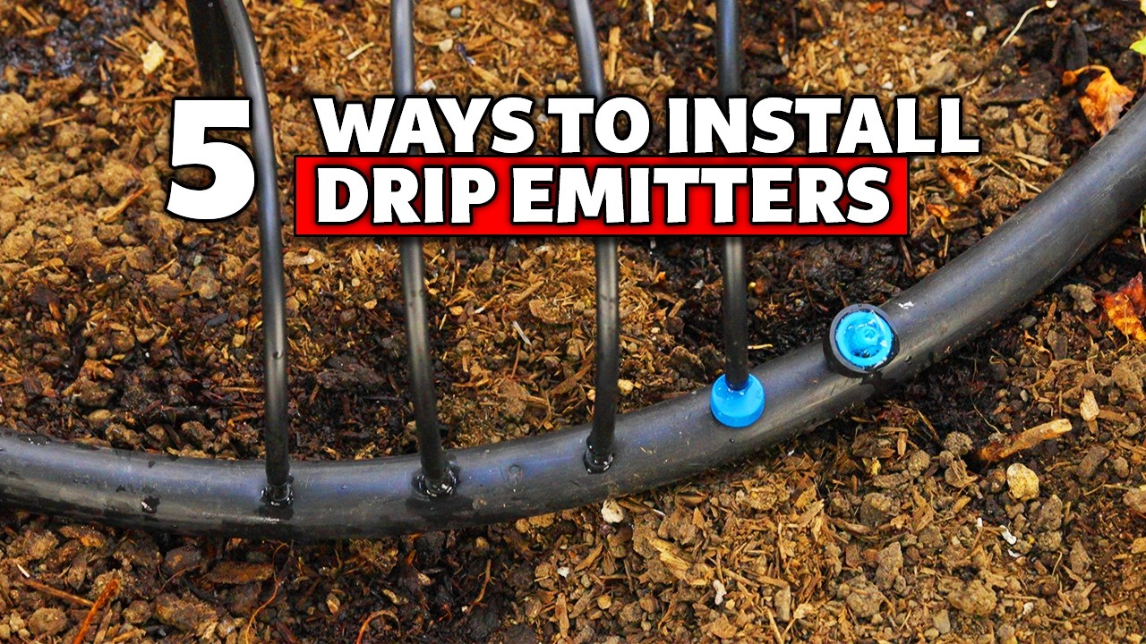 5 Ways to Install Drip Emitters