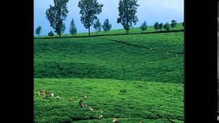 Download lagu chrisye   negeriku mp3