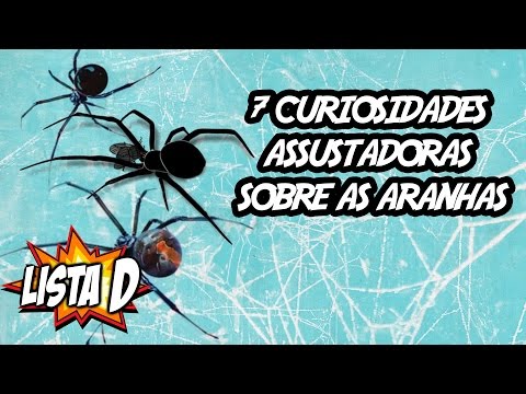 7 Curiosidades Assustadoras sobre as Aranhas - LISTA D