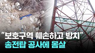 [르포] 보호구역 훼손하고 방치…송전탑 공사에 몸살 / JTBC 뉴스룸