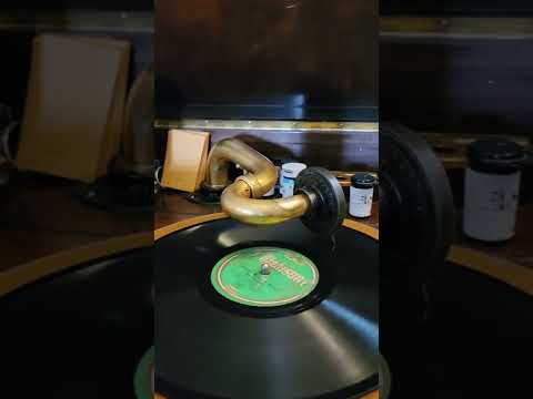 There's a Rainbow 'round my Shoulder -(Arthur Fields) St Louis Serenaders Madison Records #1641 1928