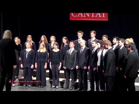 Mixed Choir of Arts Academy Split - Milane, Milane / Zelena naranča (trad. Croatian, arr. V. Sunko)
