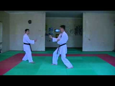 Demonstration Kihon Kumite [WADO KAI] - 3/1