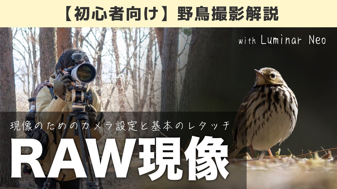 【初心者必見】上手にRAW現像するための基本設定とレタッチの基本を解説！