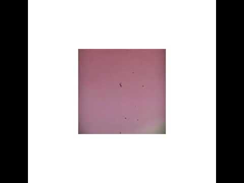 Lipinsky x Fires - Zostań