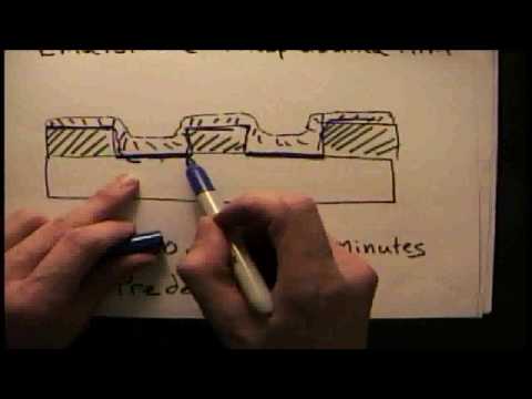 Homebrew NMOS Transistor Step by Step - So Easy Even Jeri Can Do It
