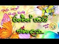 රන්වන් පාටයි සමනළයා | Ran wan Patai Samanalaya | A golden colored butterfly | Sinhala 