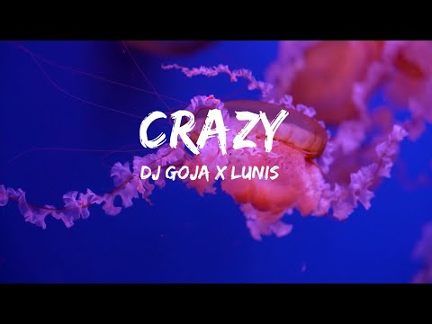 DJ Goja x Lunis - Crazy (Lyrics)  | 30mins - Feeling your music