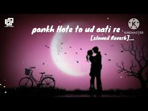 pankh hote to ud aati re )Rajesthani song.....[SLOWED+REVERB_Lofi song°°]