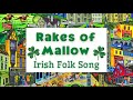 Rakes of Mallow Zoom Folk Dance