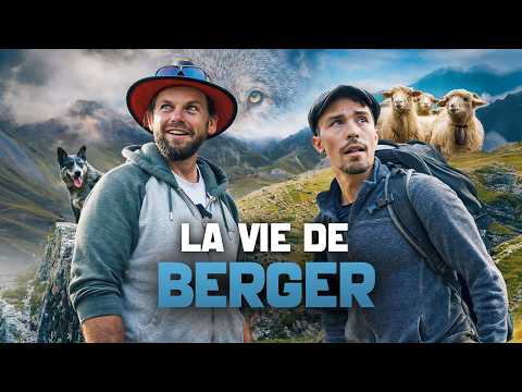 2 bergers, 1800 brebis et 1 Transmontano - Le Retour de Greg, le Pastre des Hautes-Alpes !
