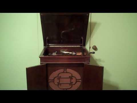 CARL FENTON BENNIE KRUEGER - A LITTLE BIT OF THIS - ROARING 20's BRUNSWICK SEVILLE