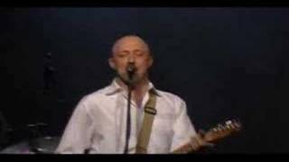 David Wilcox - Hot Hot Papa