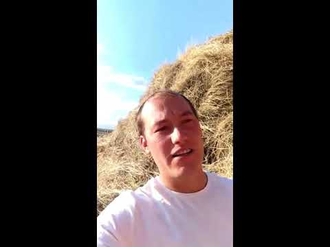 Участник 8864, wa-wAQ0cyQM
