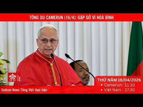 
                    [Trực tiếp] Tông du Camerun (16/4): GẶP GỠ VÌ HOÀ BÌNH
                