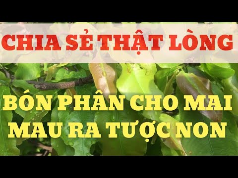 FRIENDLY SHARE: INSTRUCTIONS FOR FERTILIZING FOR IMMEDIATE FEEDING UP TODAY